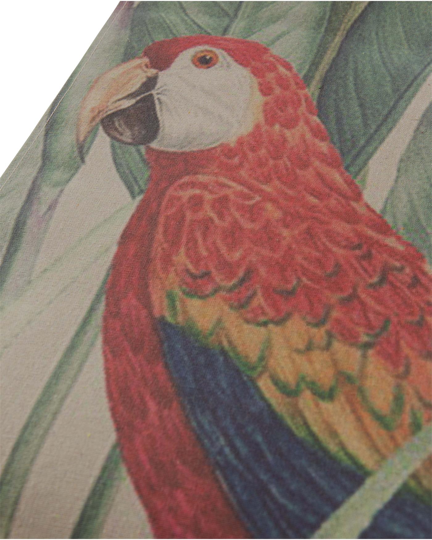 Wandbild Papagei