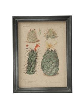 Wandblild Kaktuspflanzen